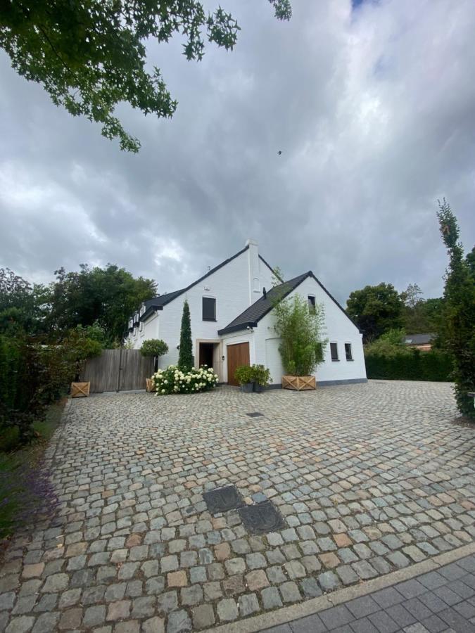 Nummer 151 Villastudios Hasselt Exterior photo