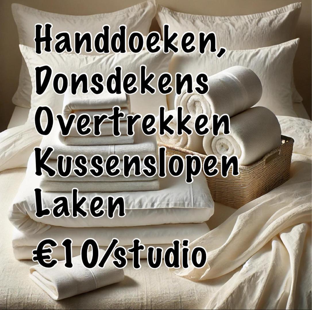Nummer 151 Villastudios Hasselt Exterior photo