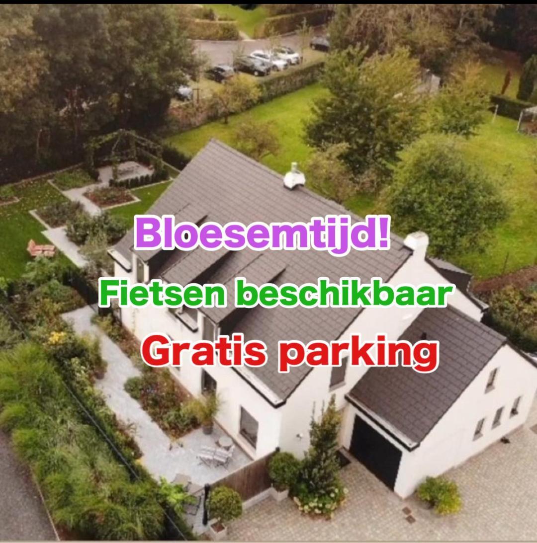Nummer 151 Villastudios Hasselt Exterior photo