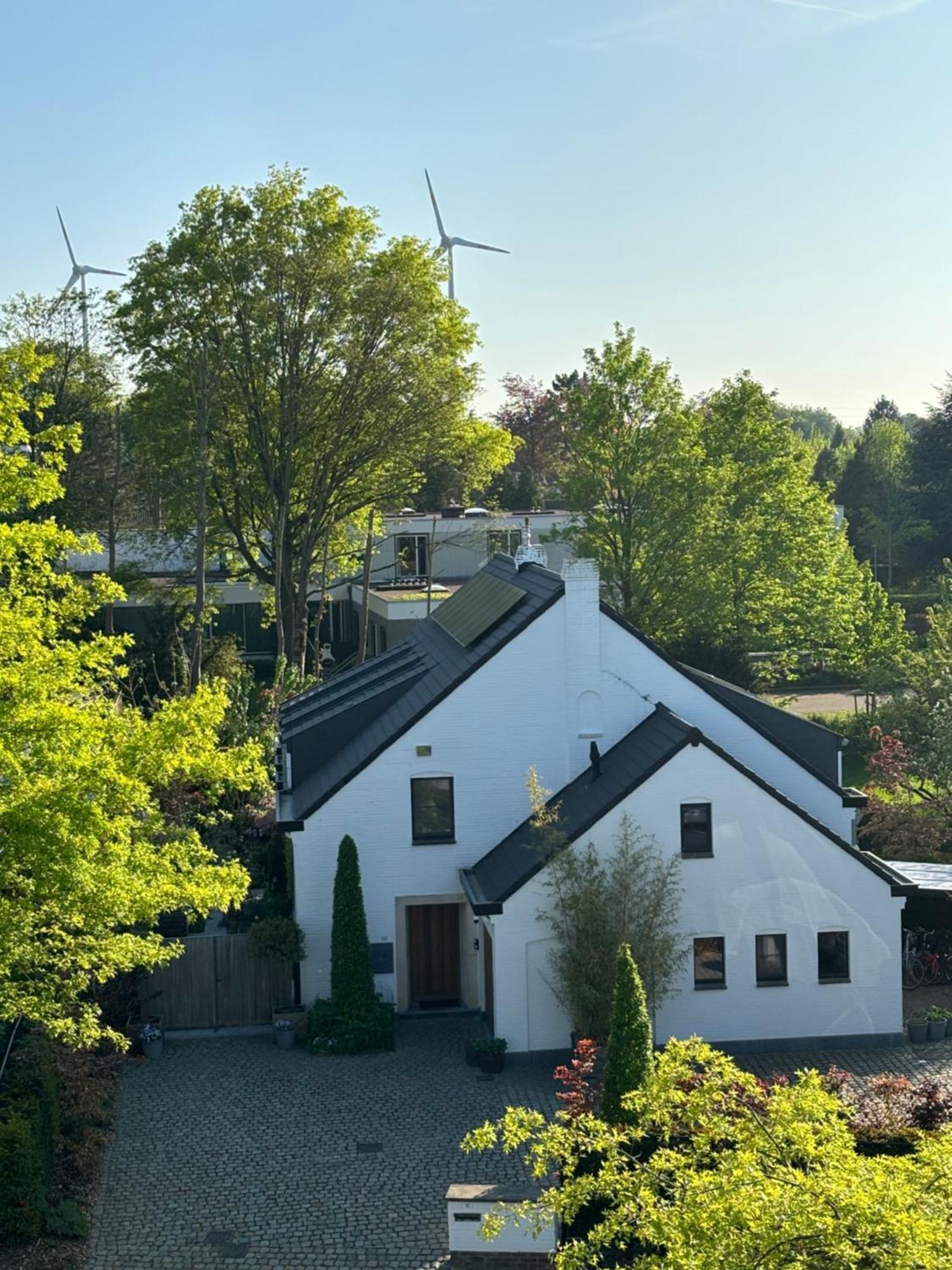 Nummer 151 Villastudios Hasselt Exterior photo